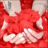 500 Lifelike Red Rose Petals – Romantic Gift Bag & Decor Accent